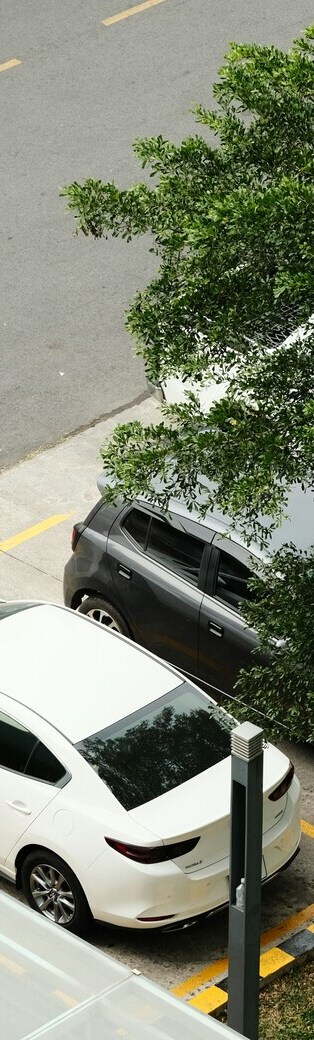 Un'auto elettrica bianca è parcheggiata in un parcheggio. Accanto c'è un'auto nera. Un albero fa ombra a entrambe le auto.