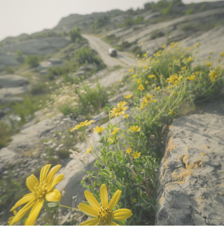 Een auto rijdt door het landschap.