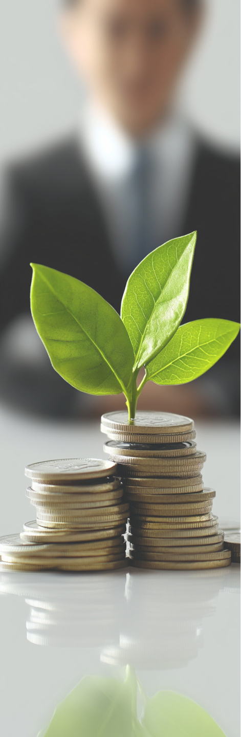 Kleiner Münzstapel auf dem eine kleine Pflanze wächst. Im Hintergrund ist ein Mann im Anzug zu erkenne. Das Bild soll verdeutlichen, dass es eine staatliche Umweltförderung für elektrische Fahrzeuge gibt.