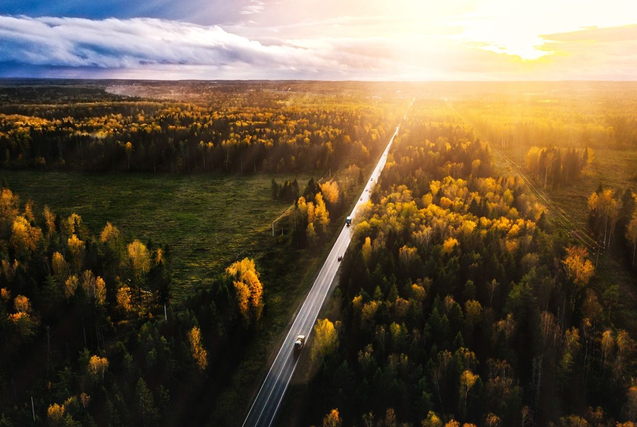 Een dronebeeld van een bos terwijl de zon aan de horizon opkomt. De snelweg is in het midden van het beeld te zien.